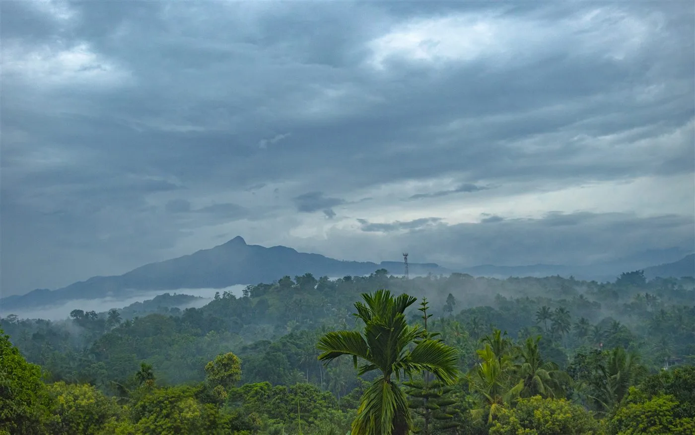 View